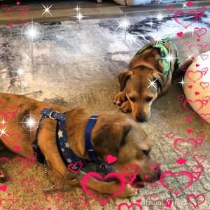 Meet your Posher, Christine